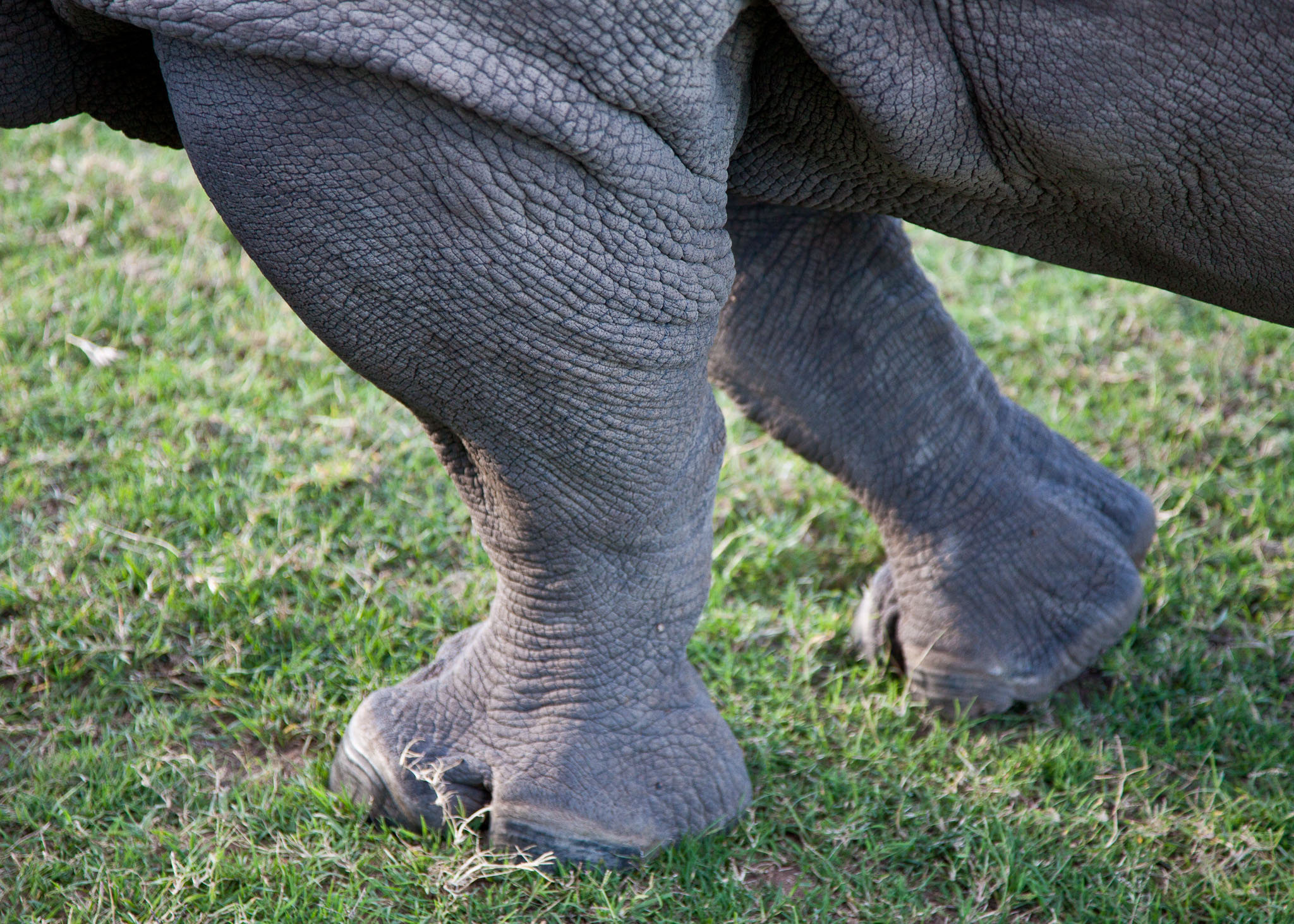 SouthAfrica-882.jpg
