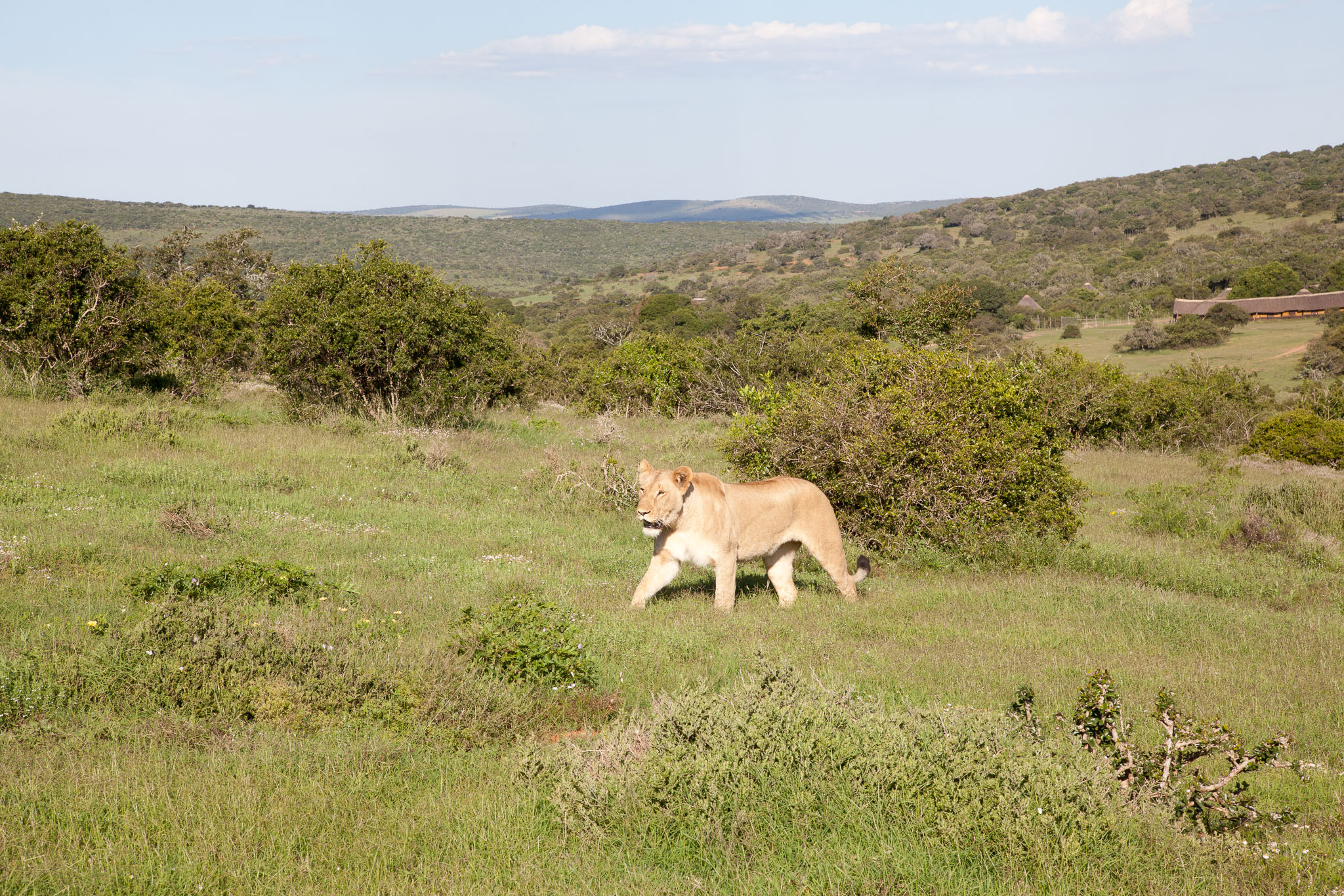 SouthAfrica-979.jpg