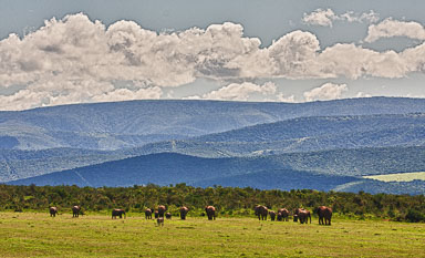 SouthAfrica-109-Edit.jpg