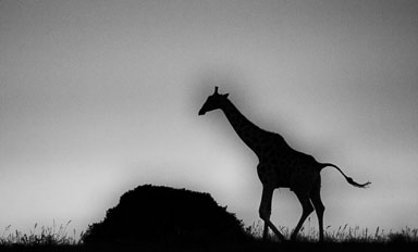 SouthAfrica-282-Edit.jpg