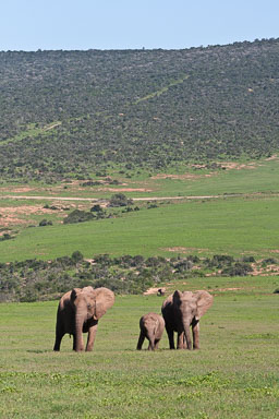 SouthAfrica-49.jpg
