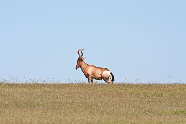 SouthAfrica-75.jpg