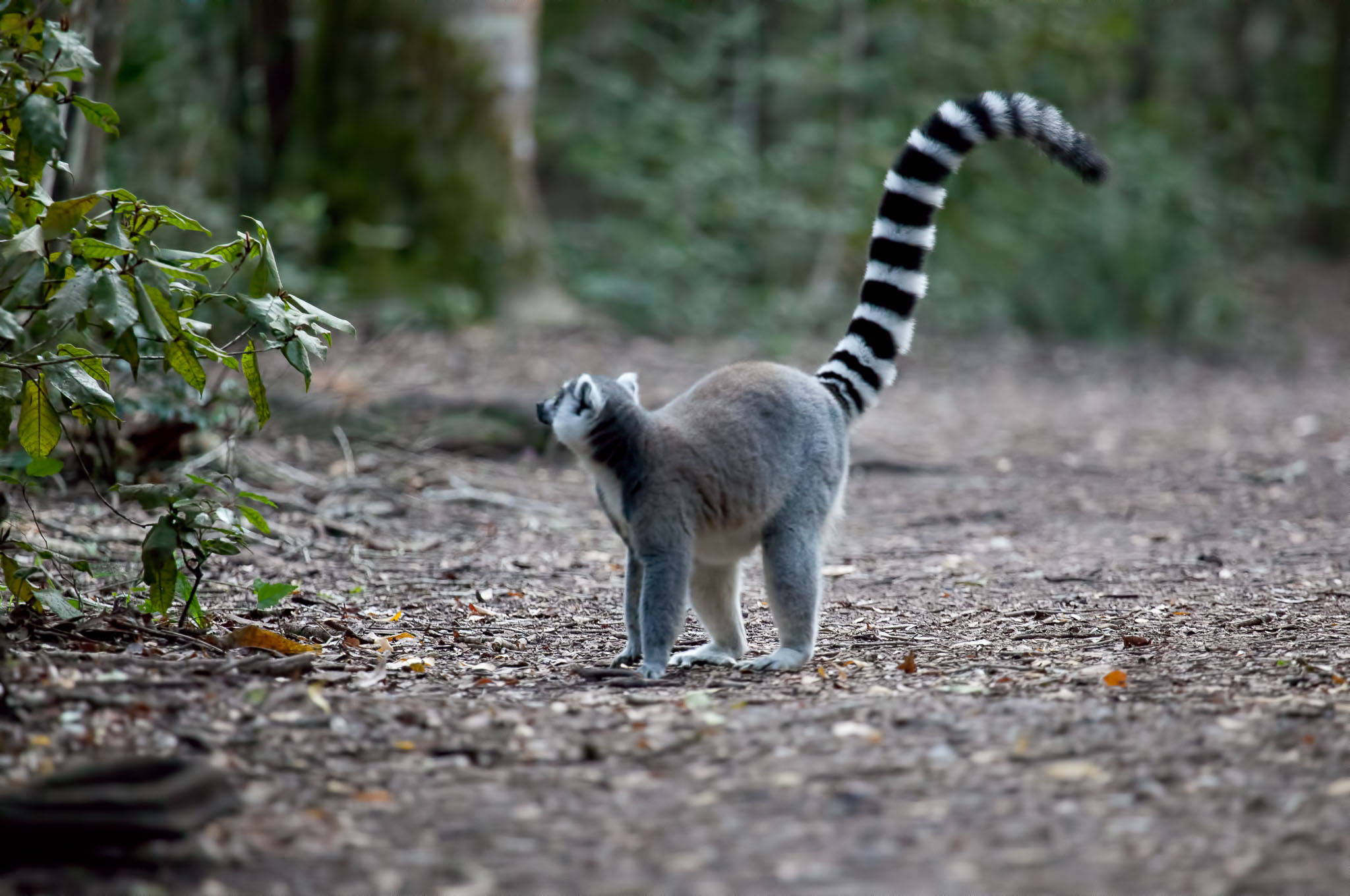 SouthAfrica-1237-Edit.jpg