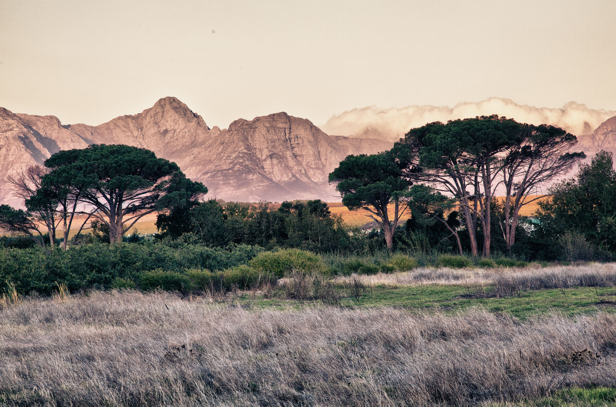 SouthAfrica-1540-Edit.jpg