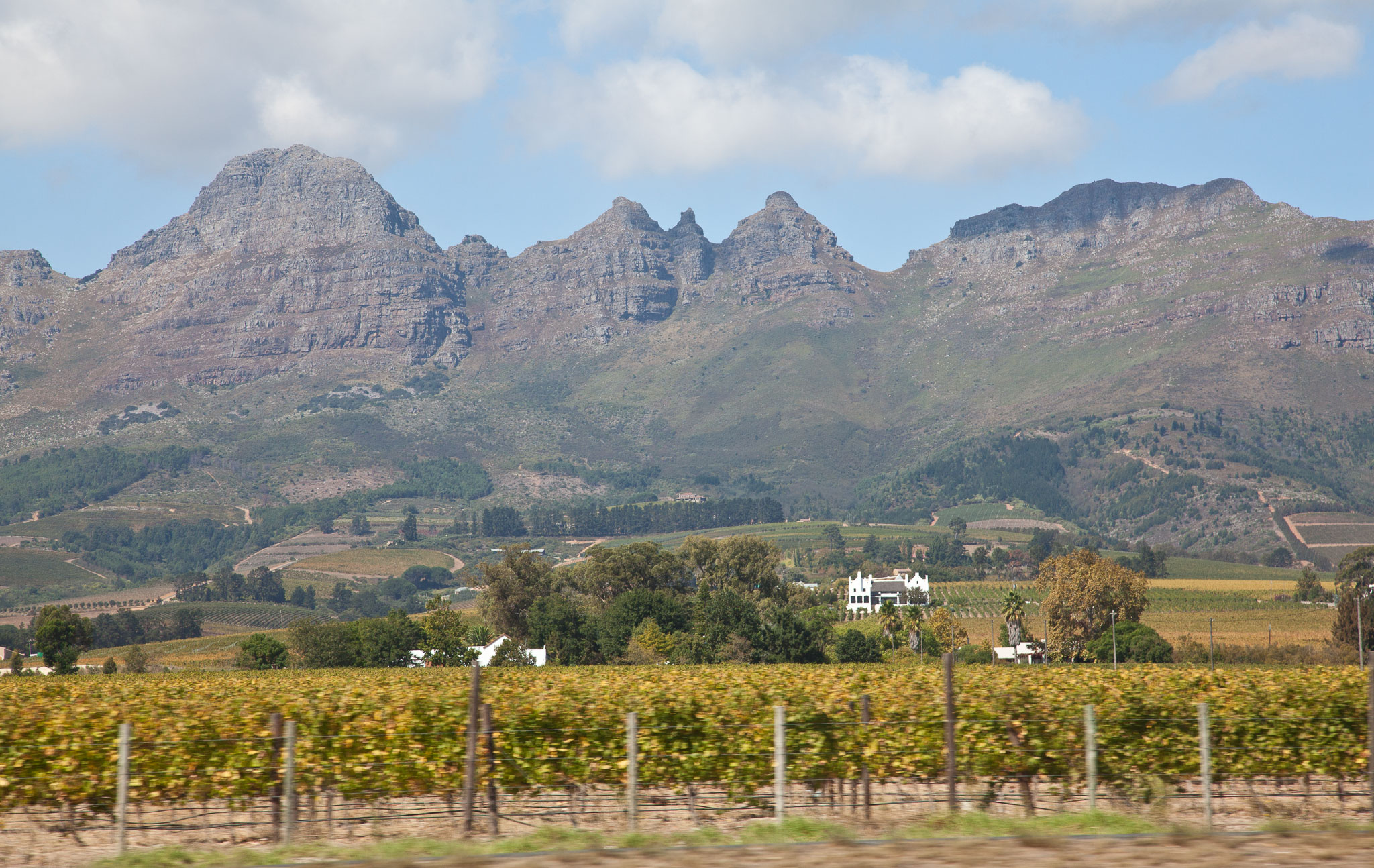 SouthAfrica-1600.jpg