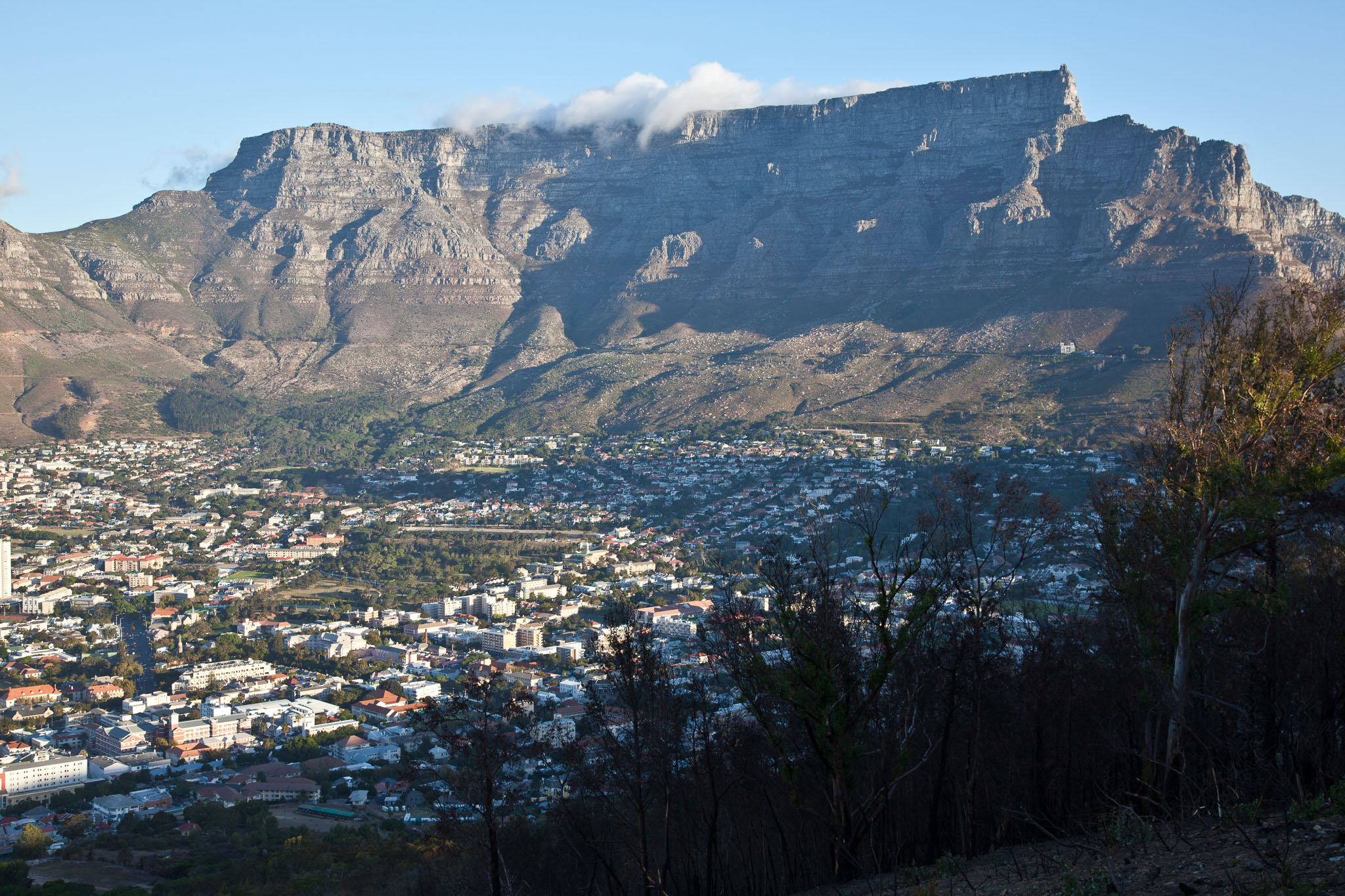 SouthAfrica-1841.jpg