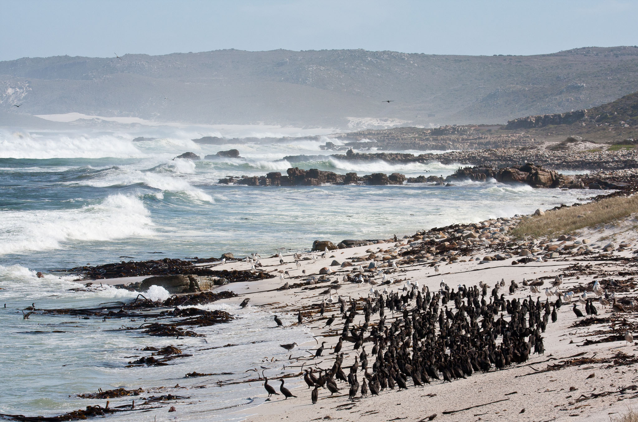SouthAfrica-531.jpg