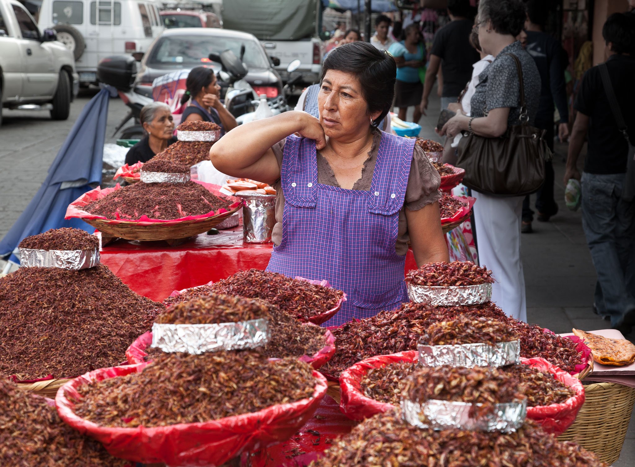 Oaxaca-5D2-1326.jpg