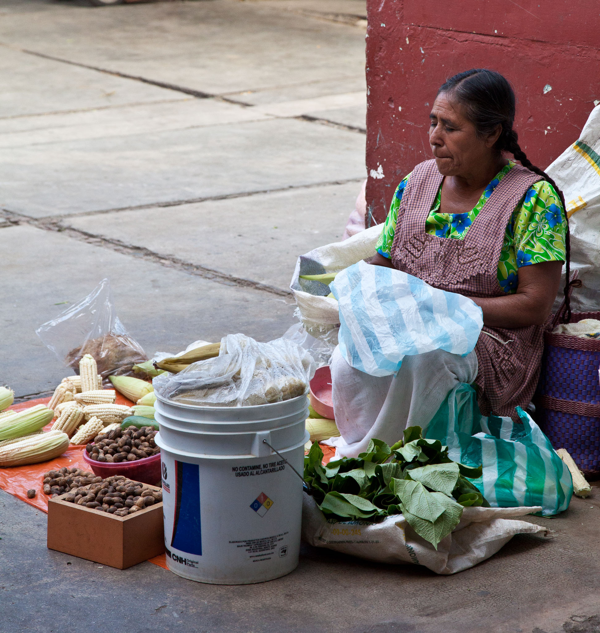Oaxaca-5D2-1421.jpg