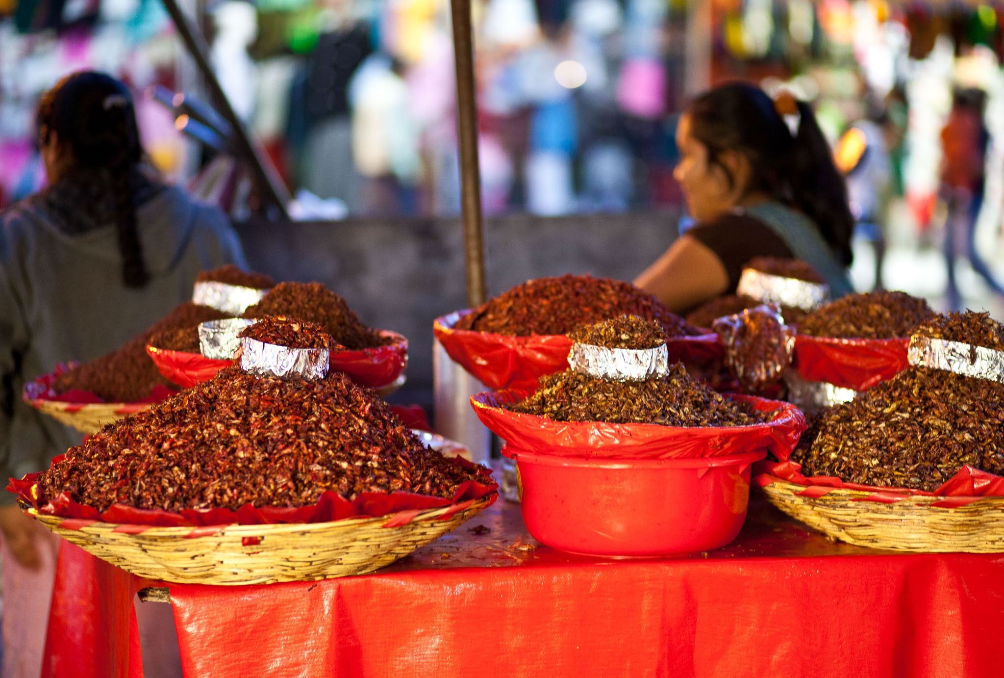 Oaxaca-5D2-333.jpg