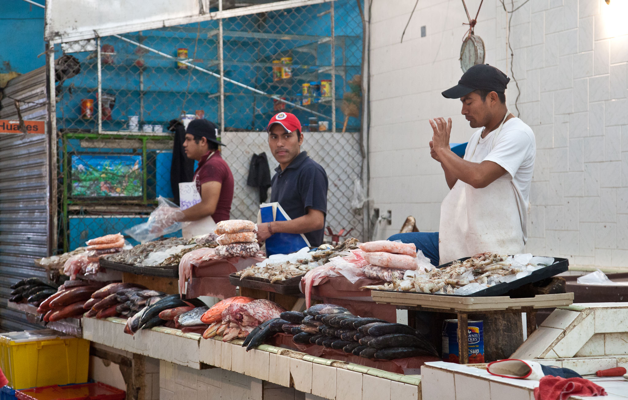 Oaxaca-5D2-399.jpg