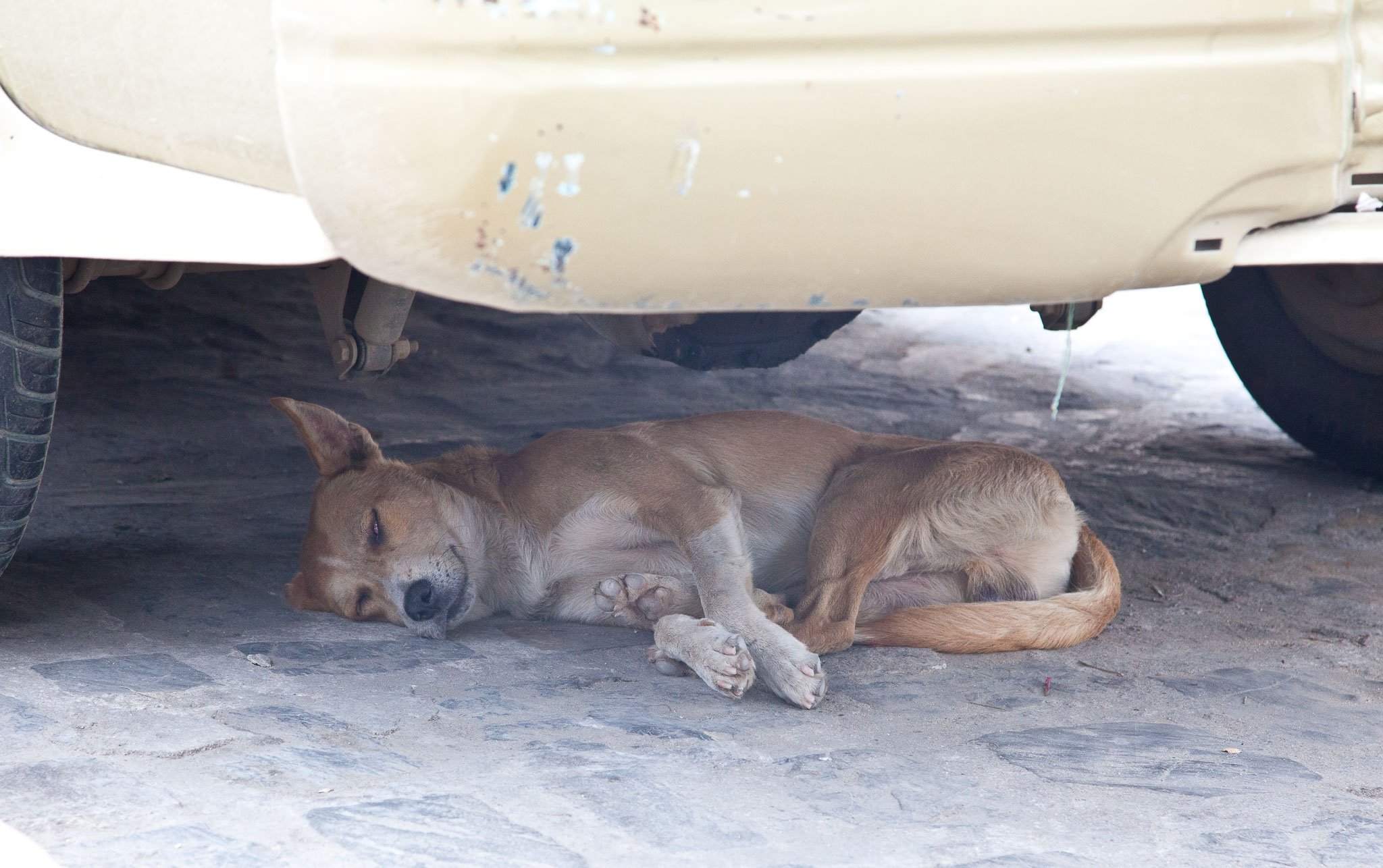 Oaxaca-5D2-484.jpg