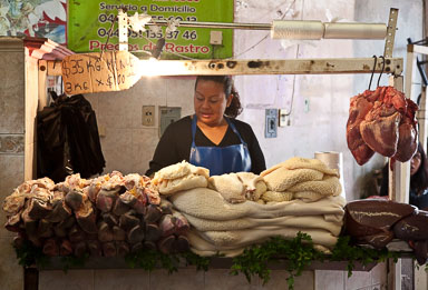 Oaxaca-5D2-014.jpg