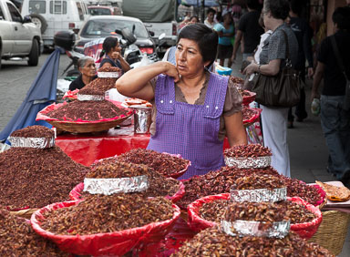 Oaxaca-5D2-1326.jpg