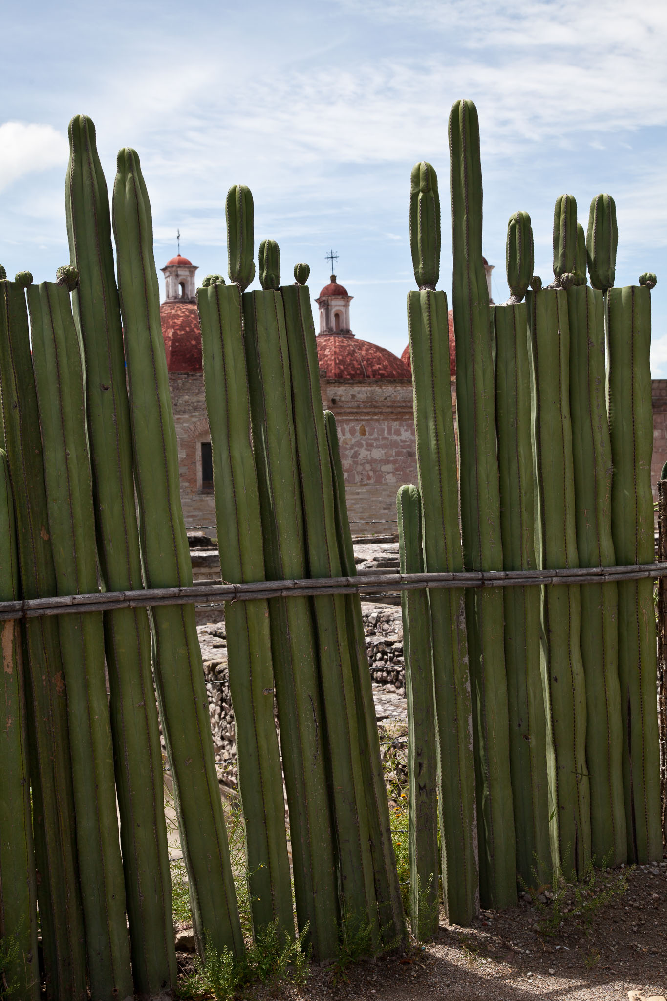 Oaxaca-5D2-050.jpg