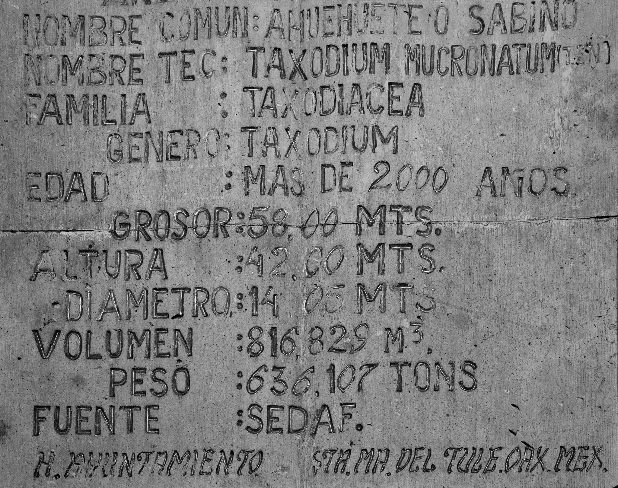 Oaxaca-5D2-085.jpg