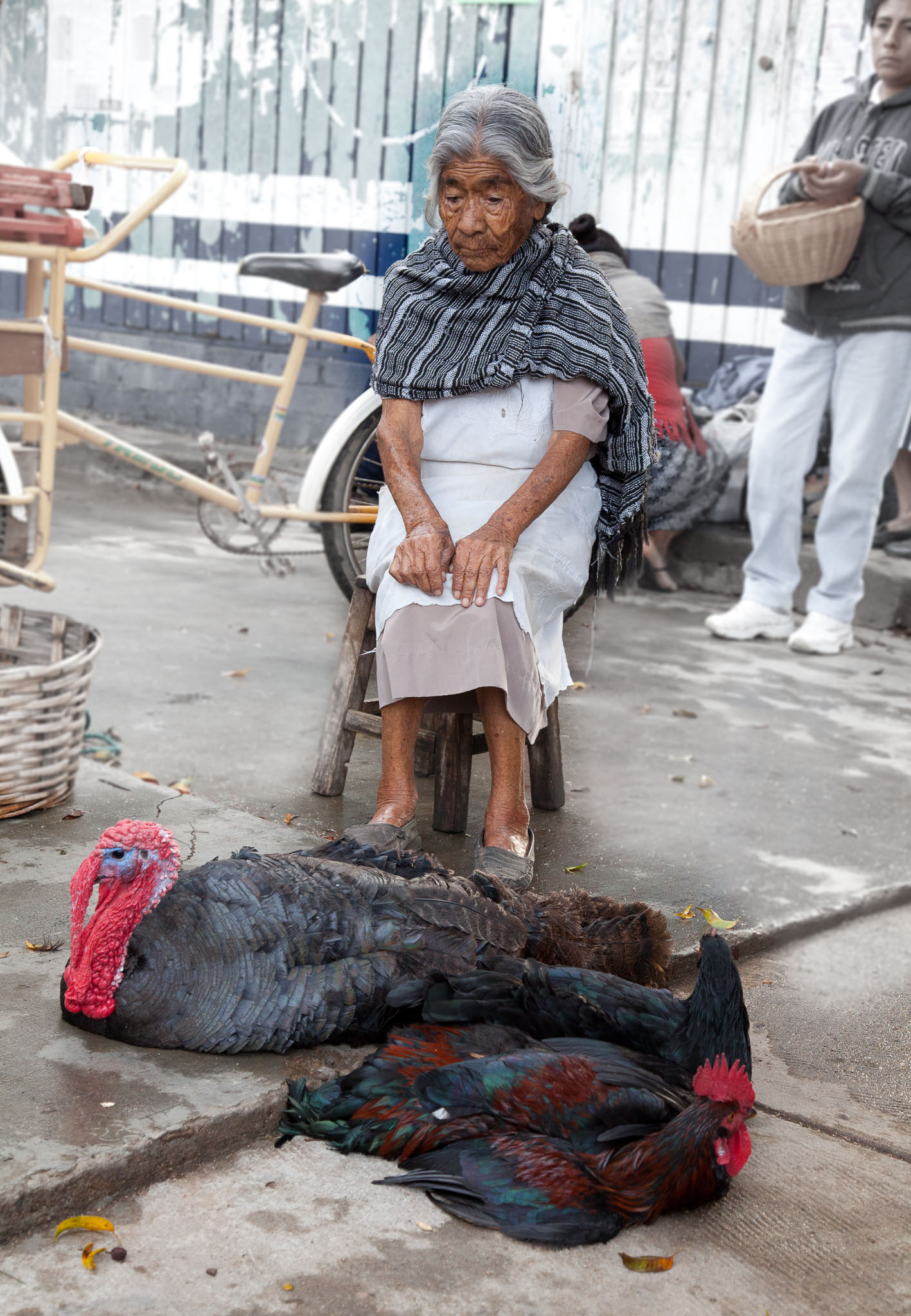 Oaxaca-5D2-146.jpg