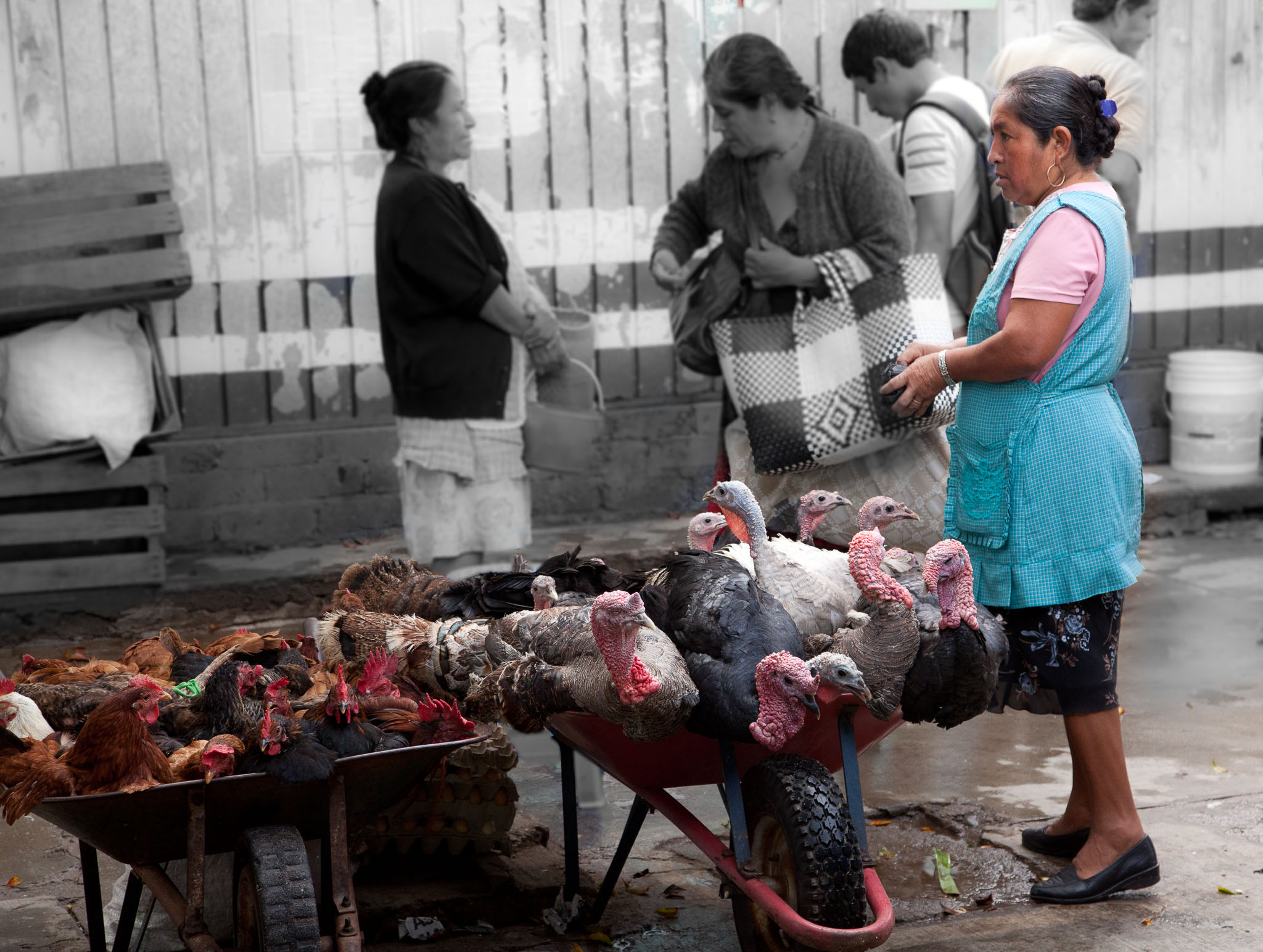 Oaxaca-5D2-159.jpg