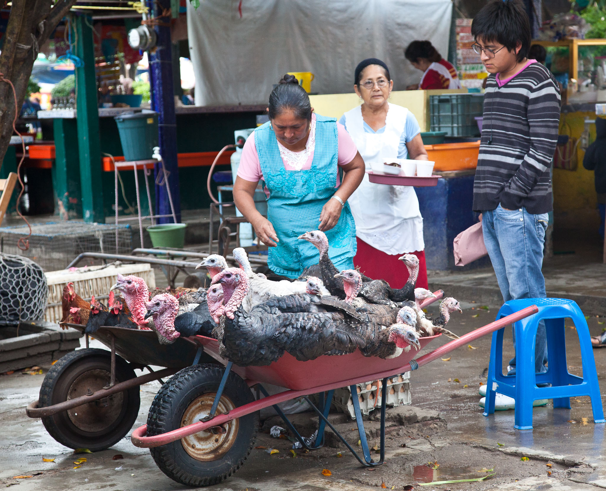 Oaxaca-5D2-161.jpg