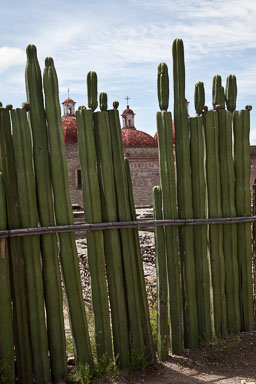 Oaxaca-5D2-050.jpg