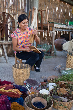 Oaxaca-5D2-067.jpg