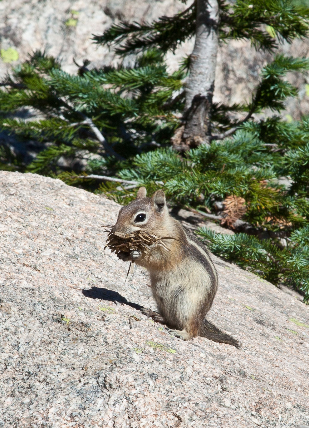 Boulder2011-118.jpg