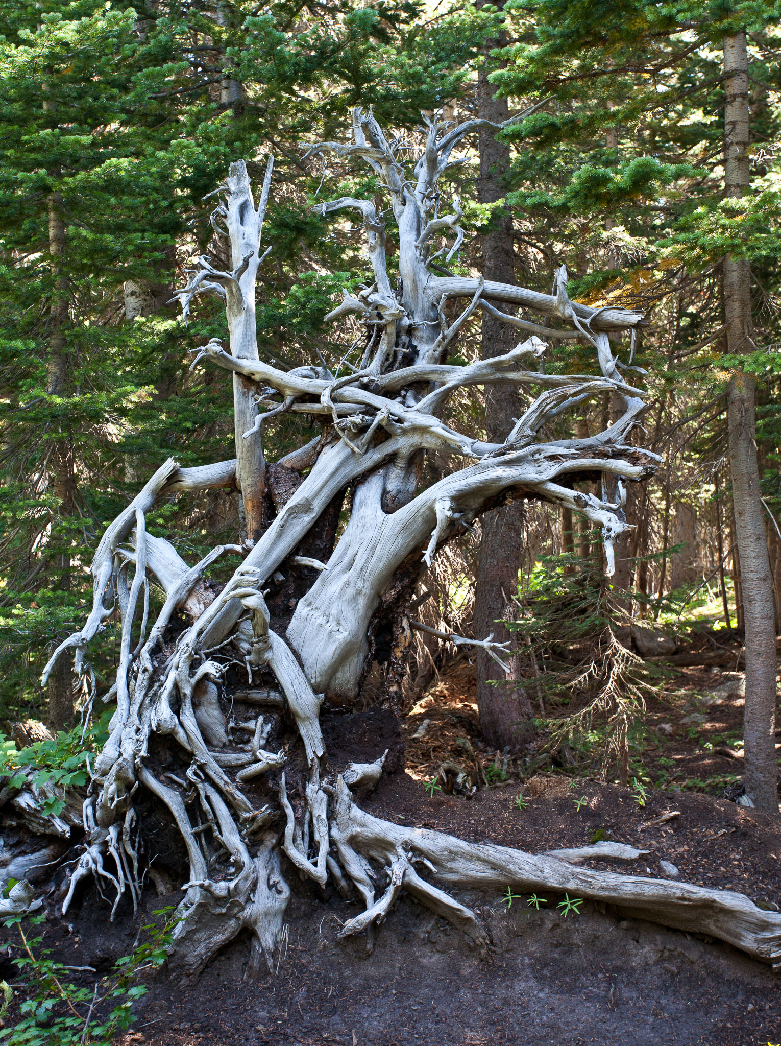 Boulder2011-148.jpg