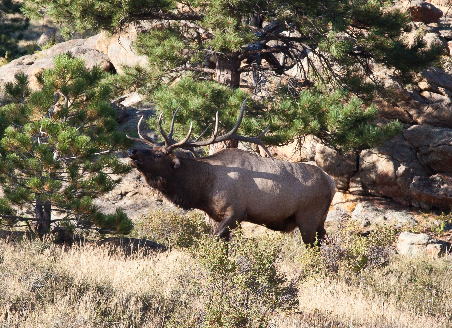 Boulder2011-200.jpg