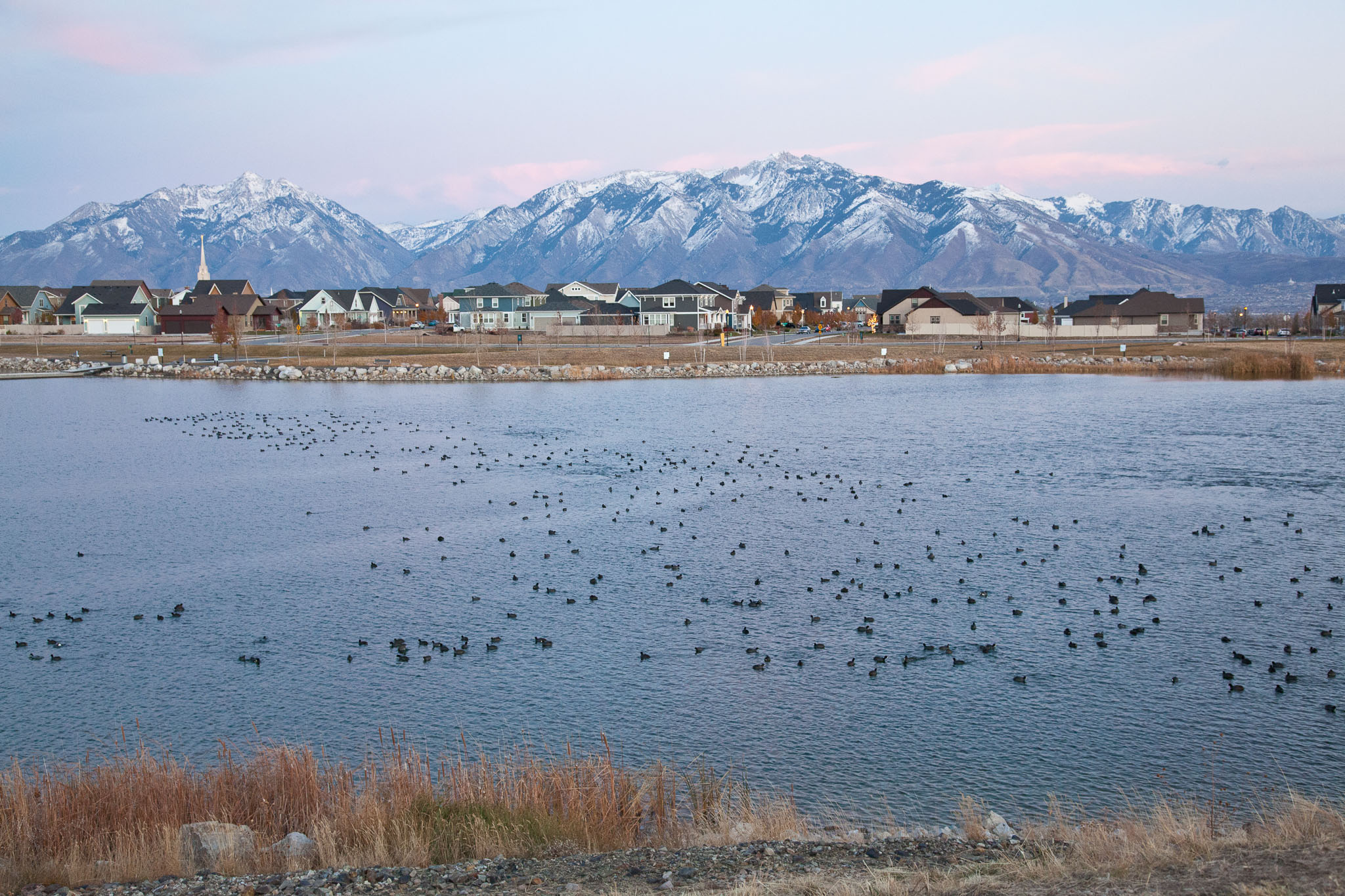 SLC-2011--124.jpg