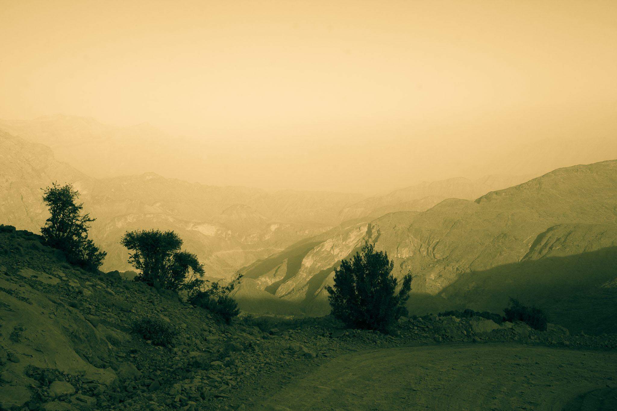 OmanDubai-5D2-019.jpg