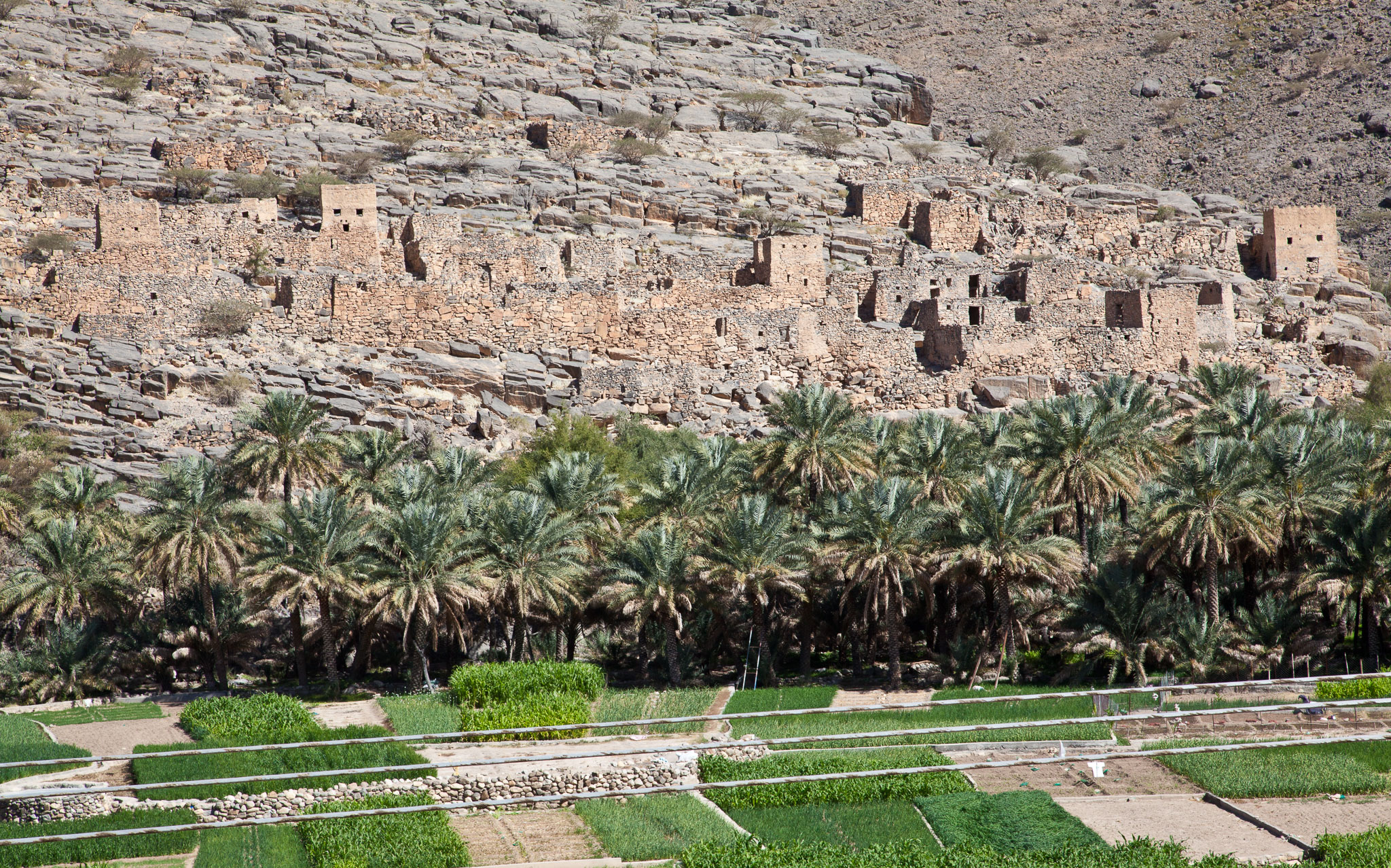 OmanDubai-5D2-1372.jpg