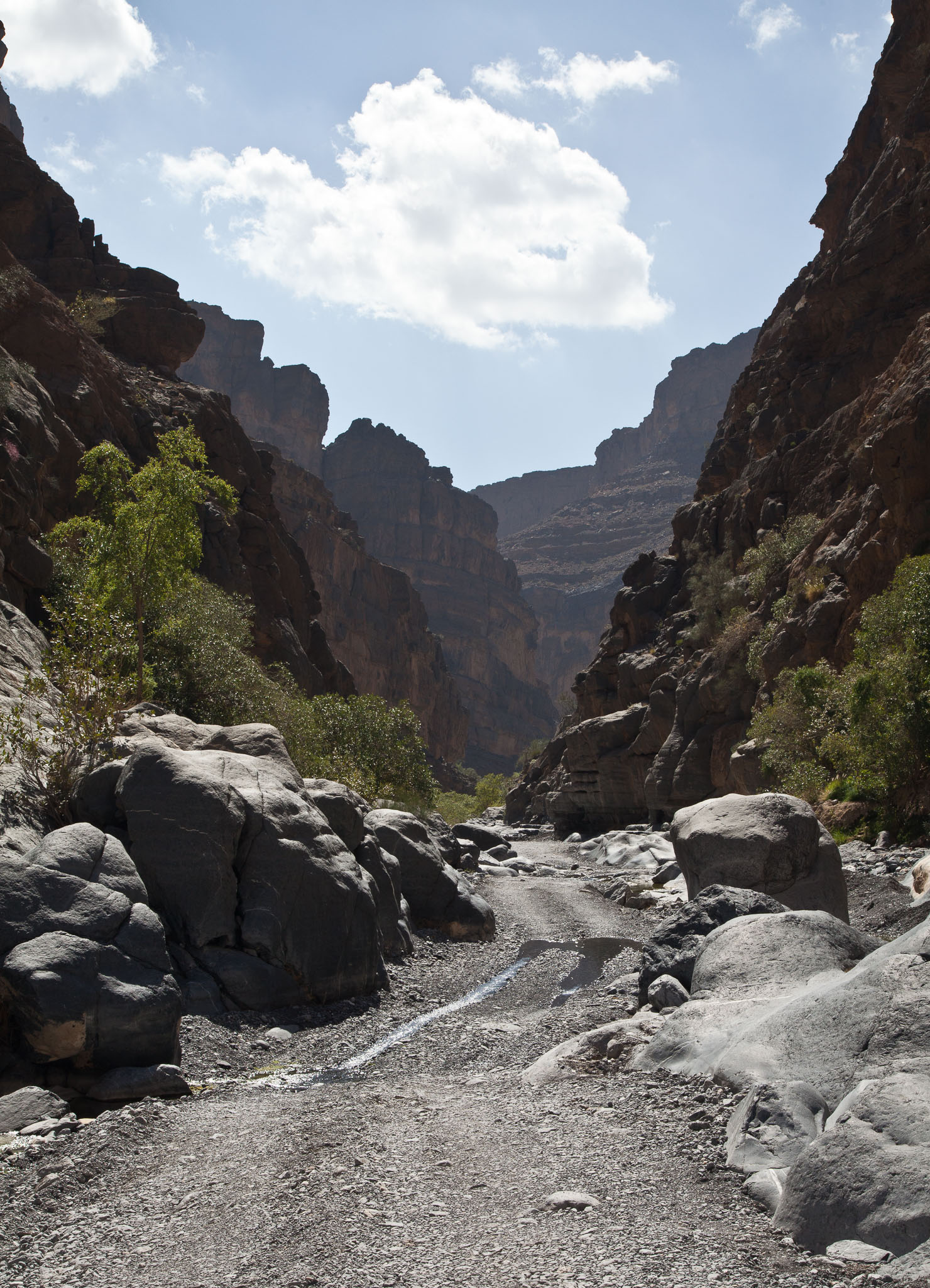 OmanDubai-5D2-1396.jpg