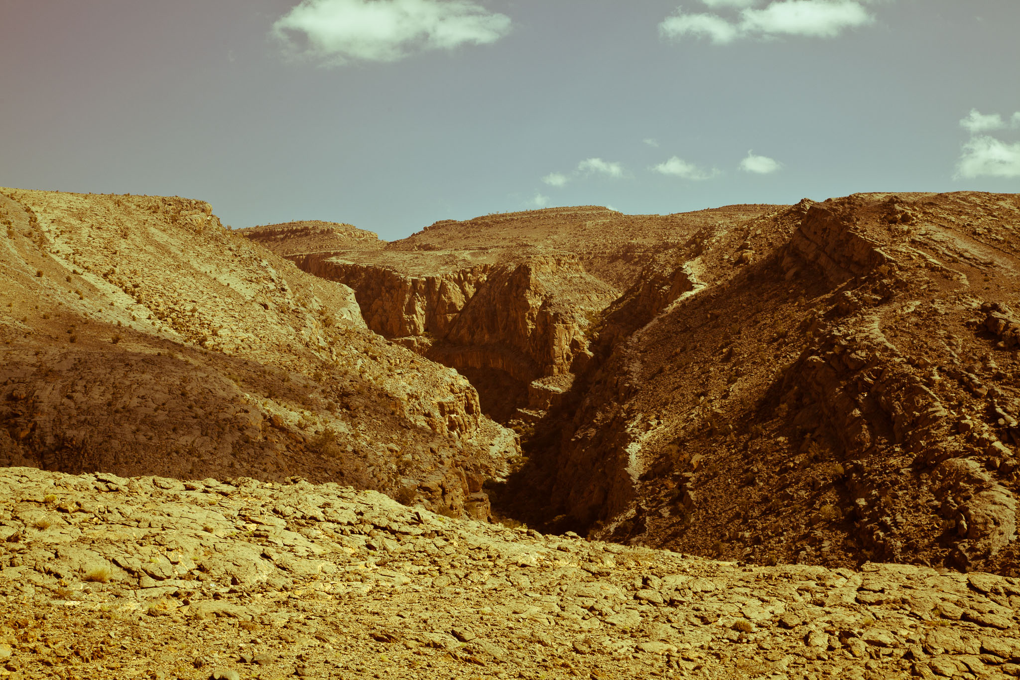 OmanDubai-5D2-1428.jpg