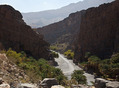 Oman & Dubai