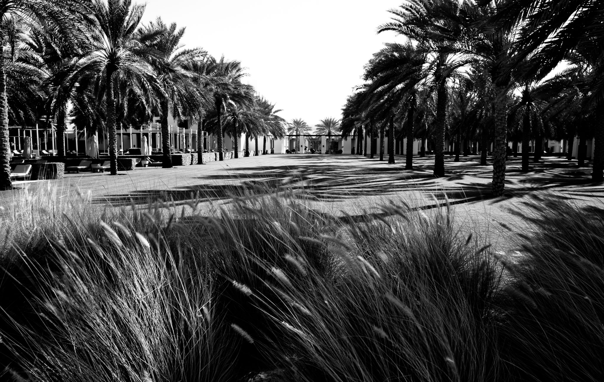 OmanDubai-5D2-089.jpg