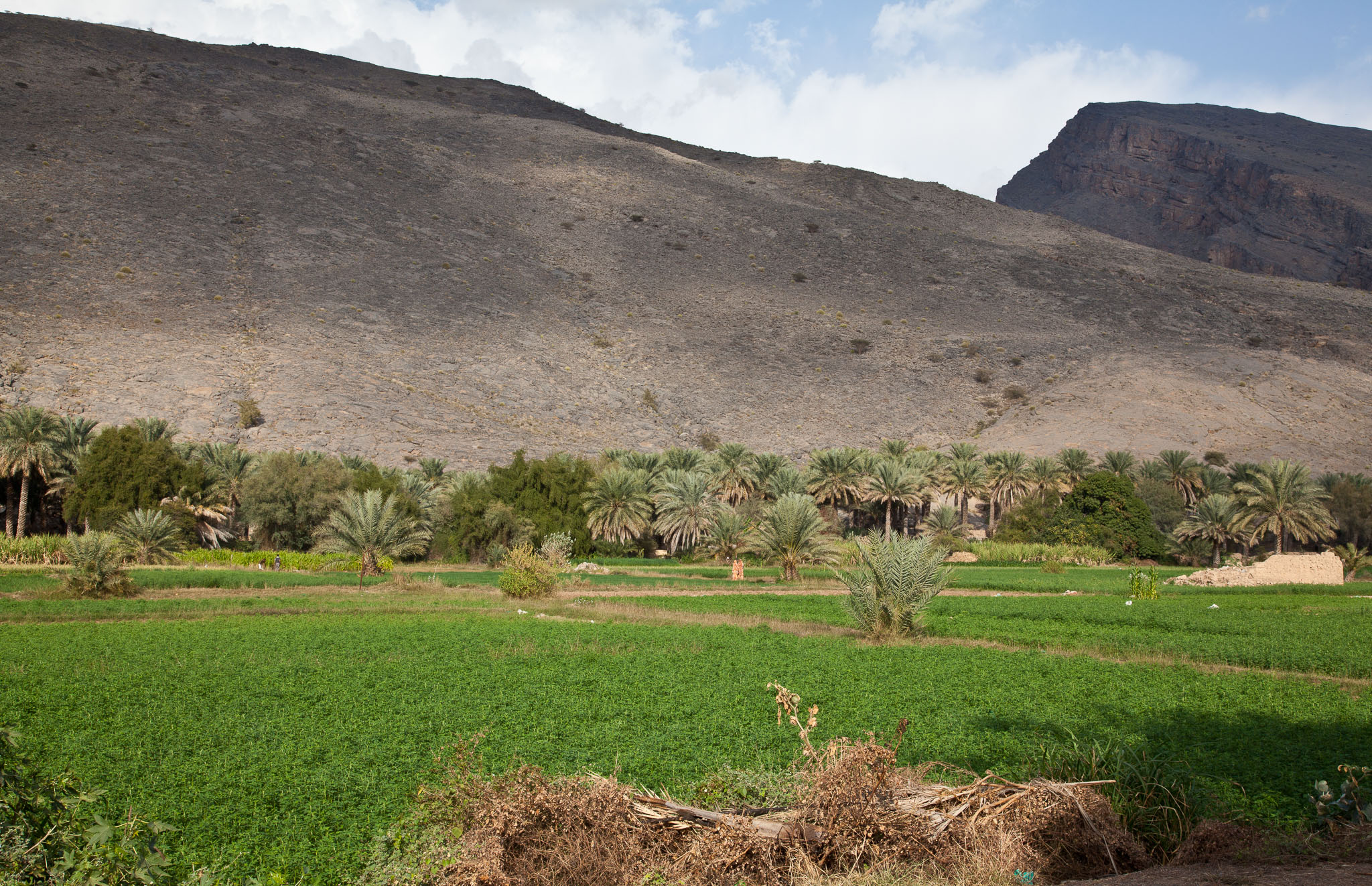 OmanDubai-5D2-1089.jpg