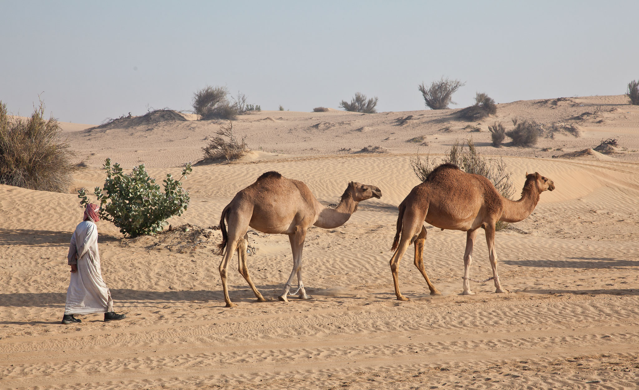 OmanDubai-5D2-3152.jpg