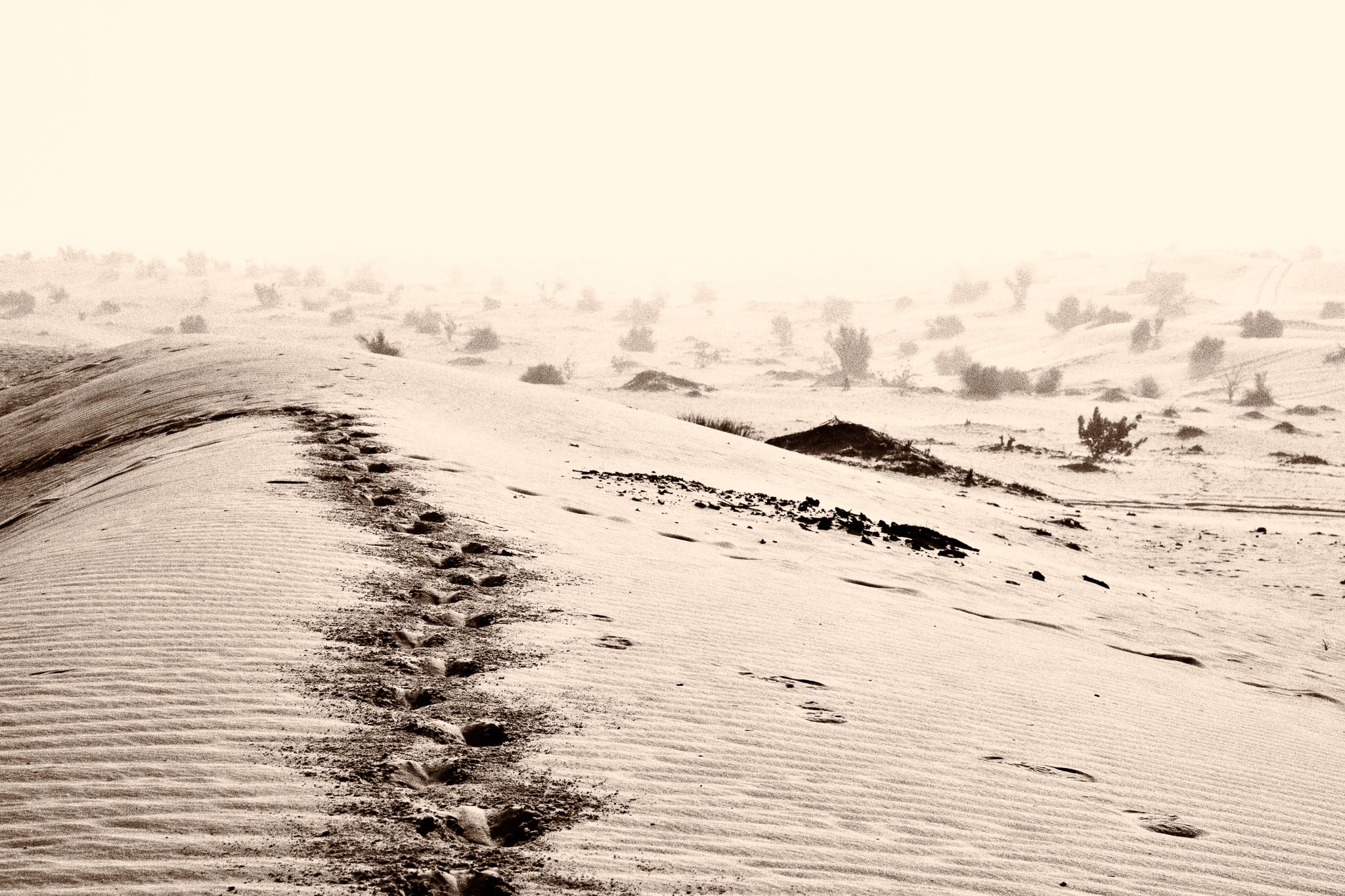 OmanDubai-5D2-3160-Edit.jpg