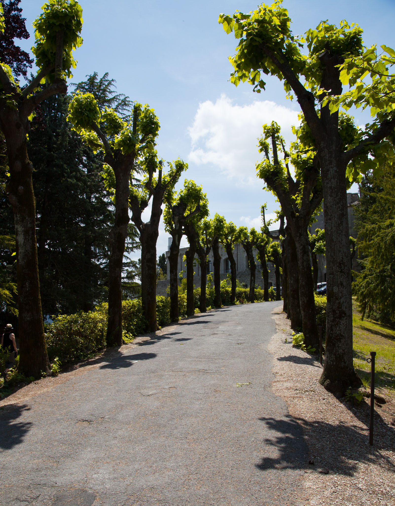 SRS_0424-Edit-2.jpg