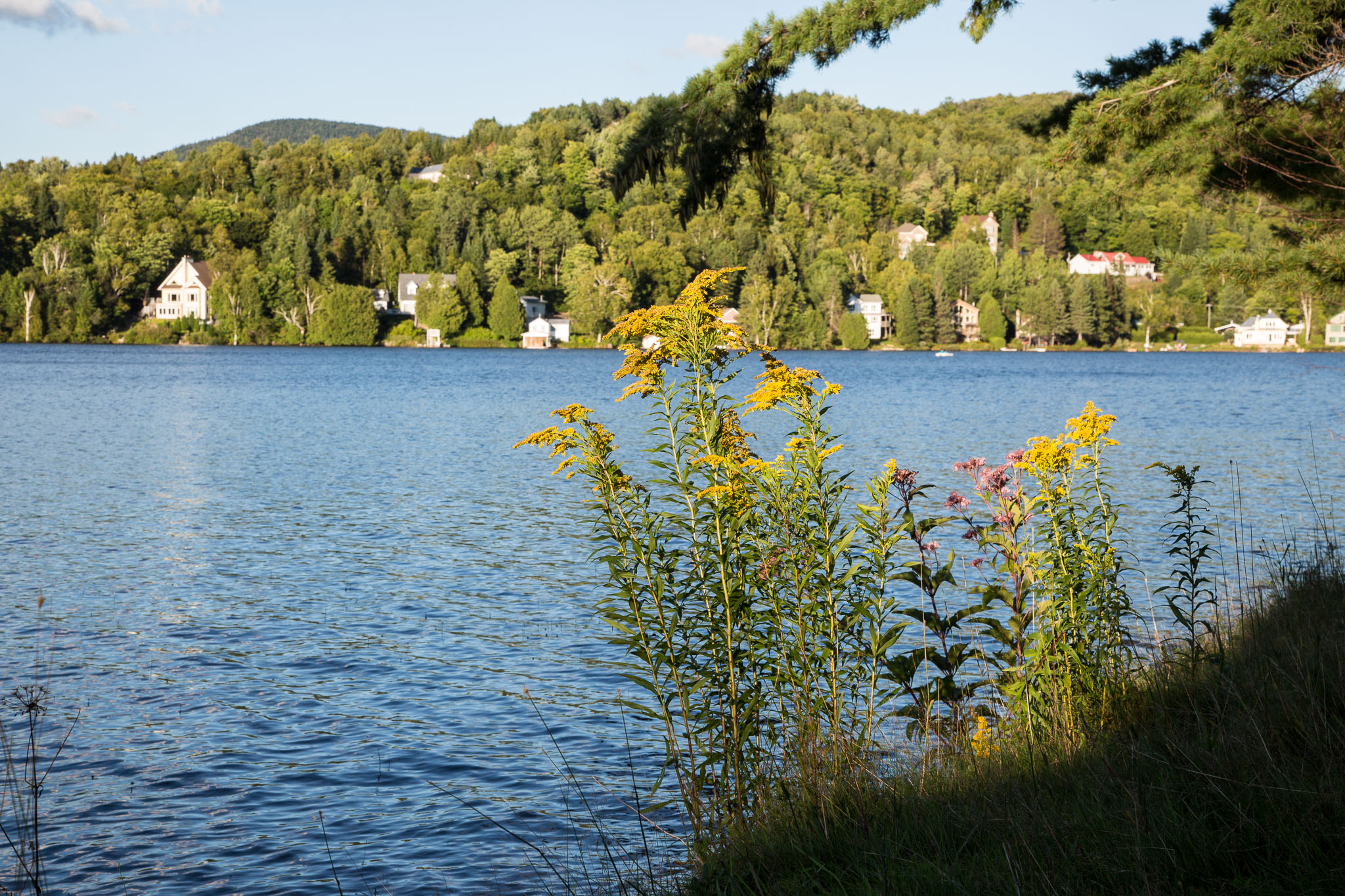 Canada2012-017.jpg