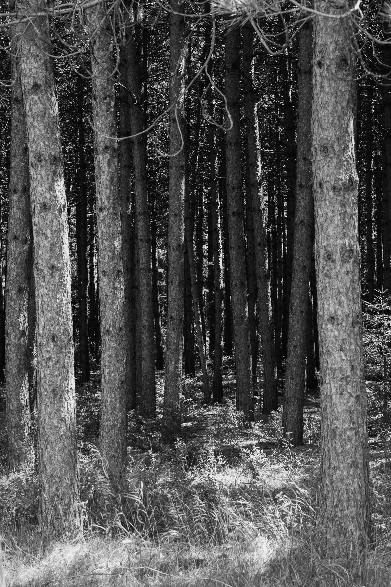Canada2012-184-Edit.jpg