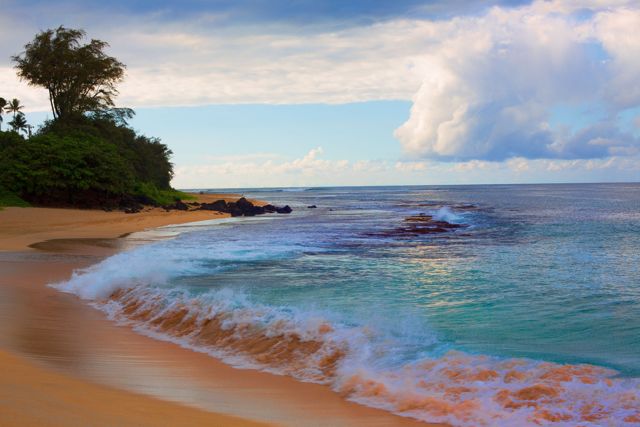 _TS_7675-Edit.jpg