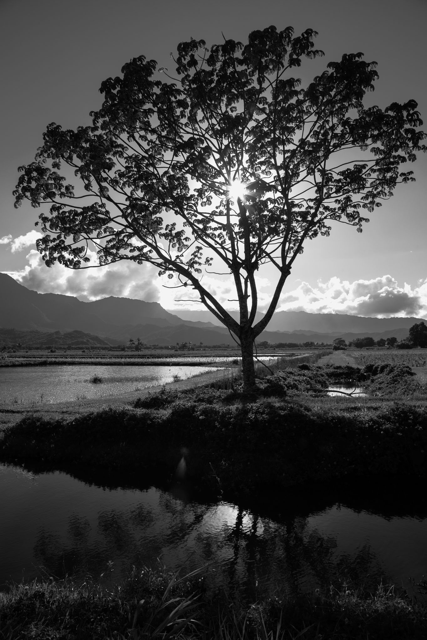 _TS_8038-Edit.jpg