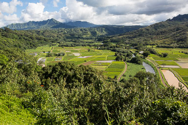 Hanalei