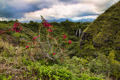 _TS_8596-Edit.jpg