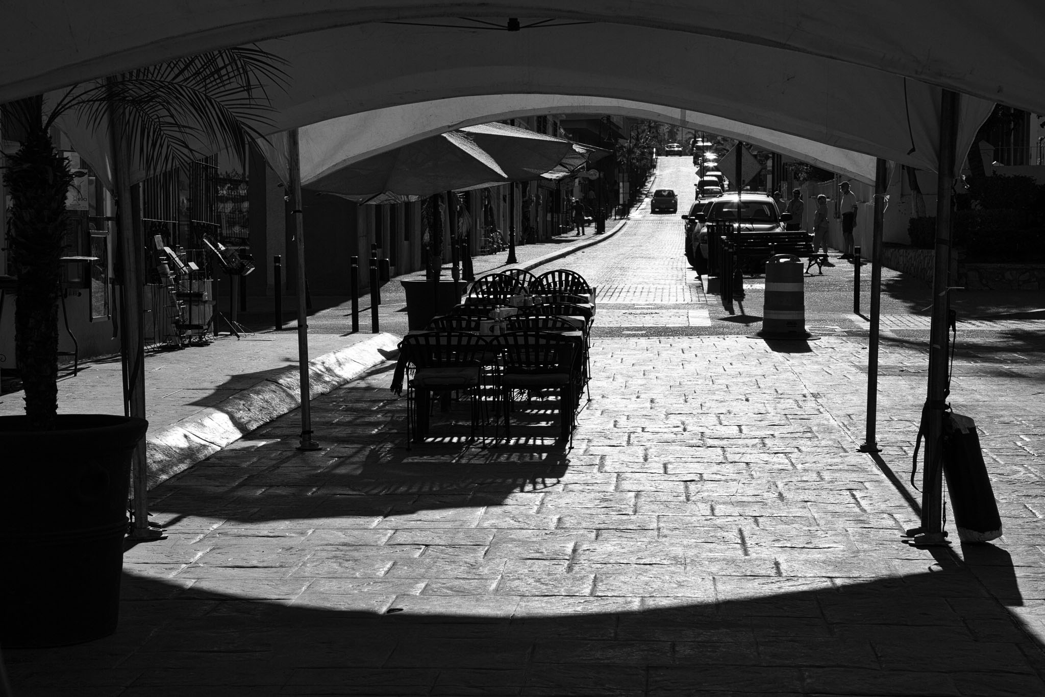 _TS_1031-Edit.jpg