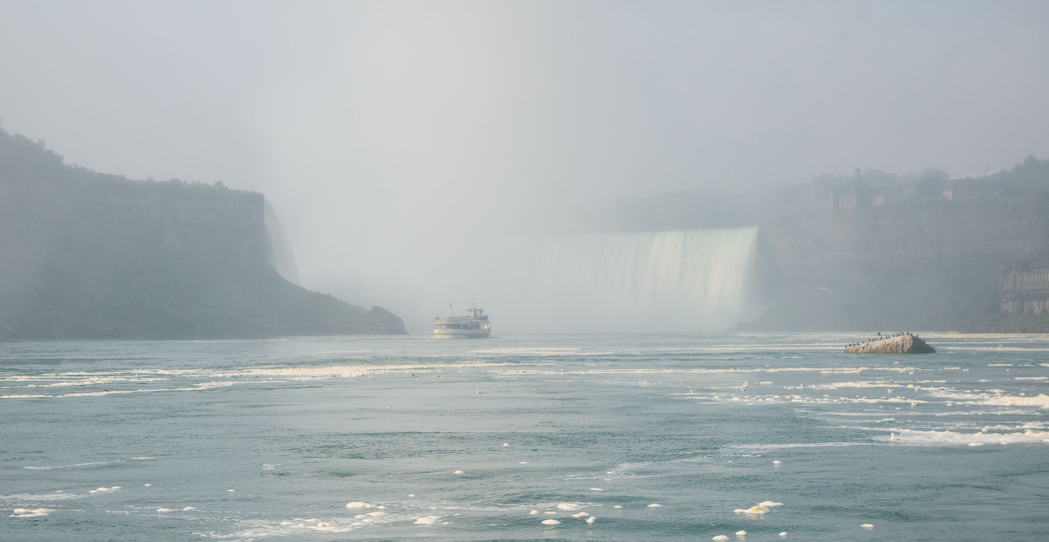 _DSC2004.jpg