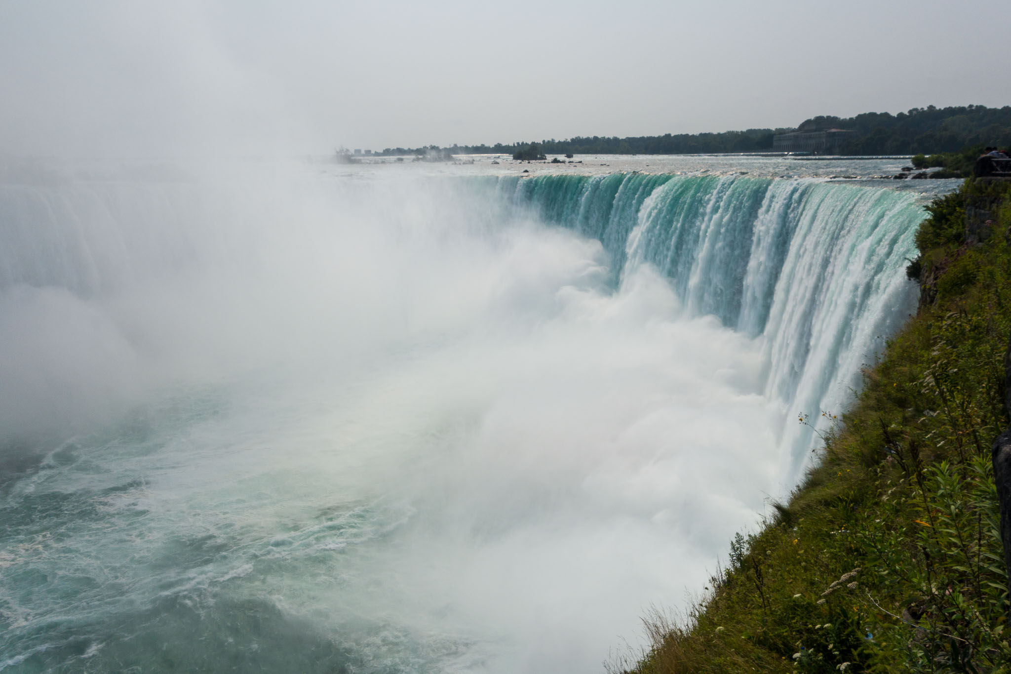 _DSC2022.jpg