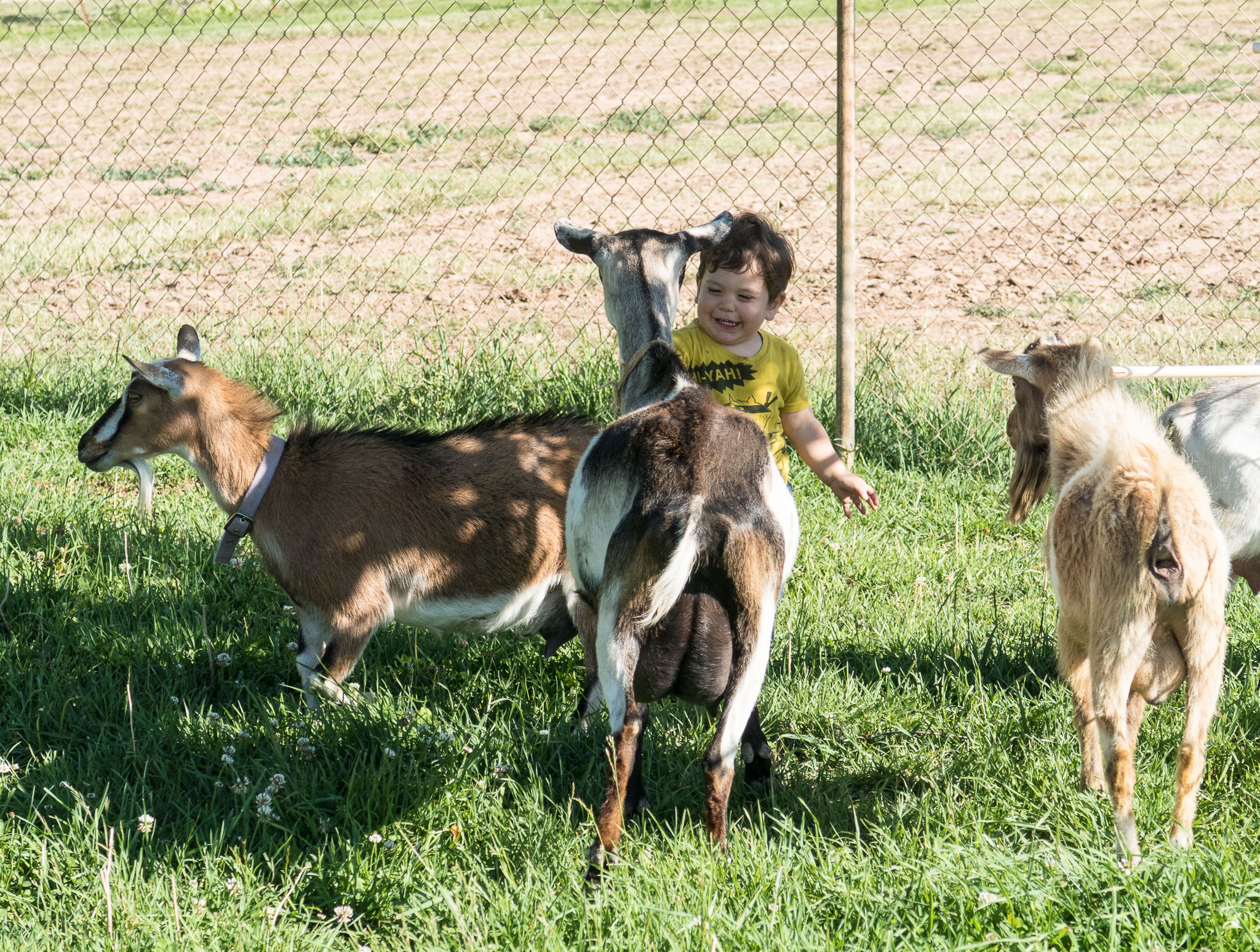 IMG_0376.jpg