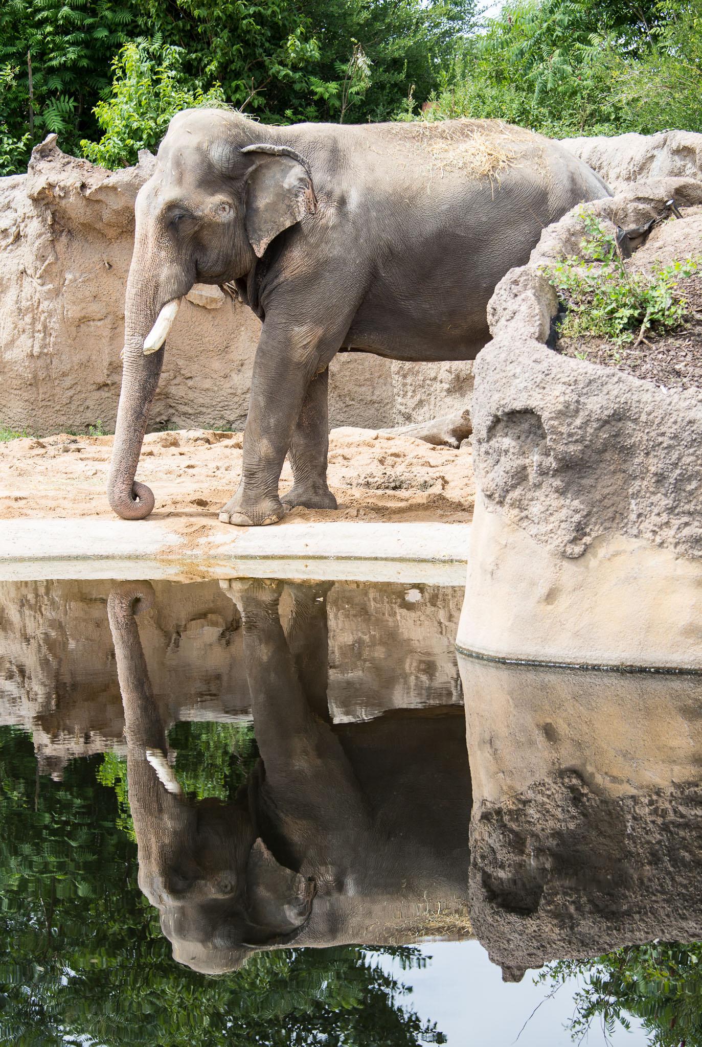 _TS_0934.jpg